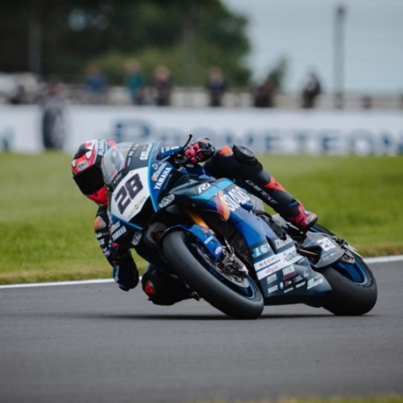 Gdn25954 Dimensioni Medie