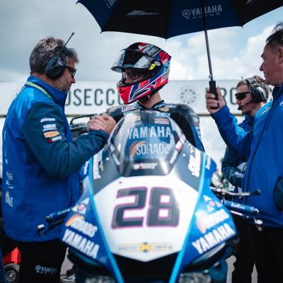 Gdn27653 Dimensioni Grandi