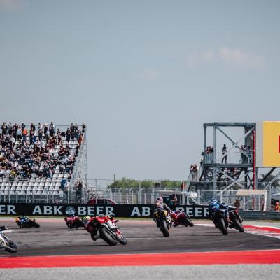 Gdn24201 Dimensioni Grandi